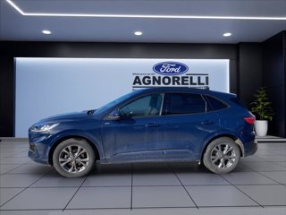 FORD Kuga 2.5 full hybrid ST-Line 2wd 190cv cvt