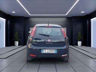 FIAT Punto 5p 1.2 Street E6