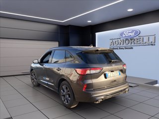 FORD Kuga 1.5 ecoblue ST-Line X 2wd 120cv auto
