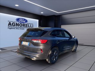 FORD Kuga 1.5 ecoblue ST-Line X 2wd 120cv auto