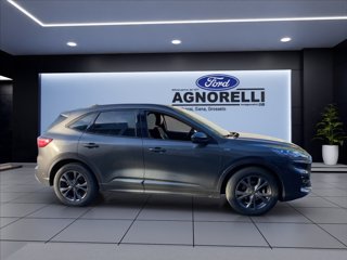 FORD Kuga 1.5 ecoblue ST-Line X 2wd 120cv auto