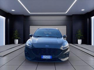 FORD Kuga 1.5 ecoblue ST-Line X 2wd 120cv auto